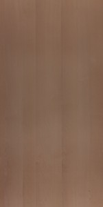 Steam Beech Laminate sheets with NA Finish | Greenlam Laminates