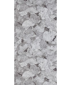 Samsara Laminate sheets with High Definition Gloss (HDG) Finish | Greenlam Laminates