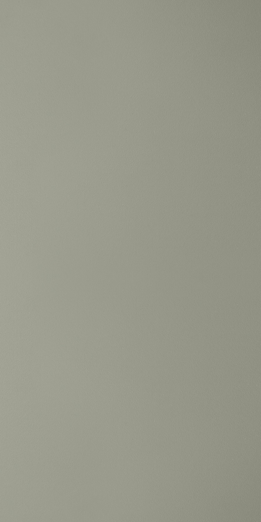 Ash Grey Laminate sheets with Suede (SUD) Finish | Greenlam Laminates