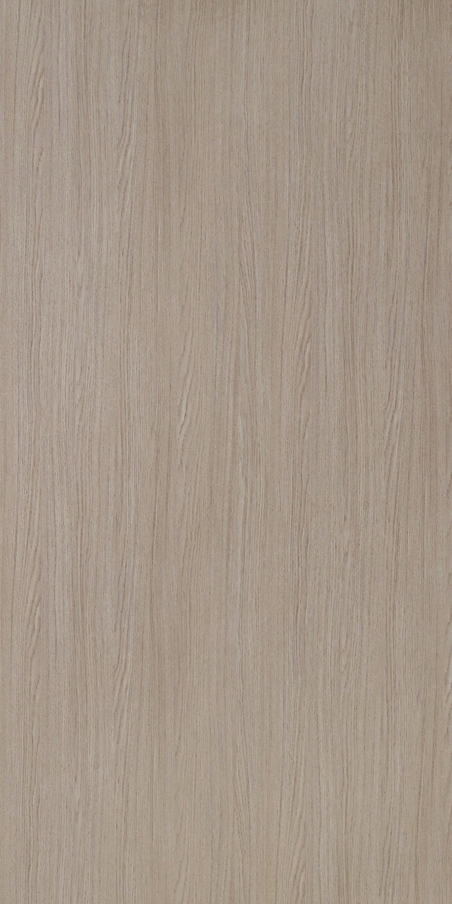 Palermo Oak Laminate sheets with Satin (SAT) Finish | Greenlam Laminates