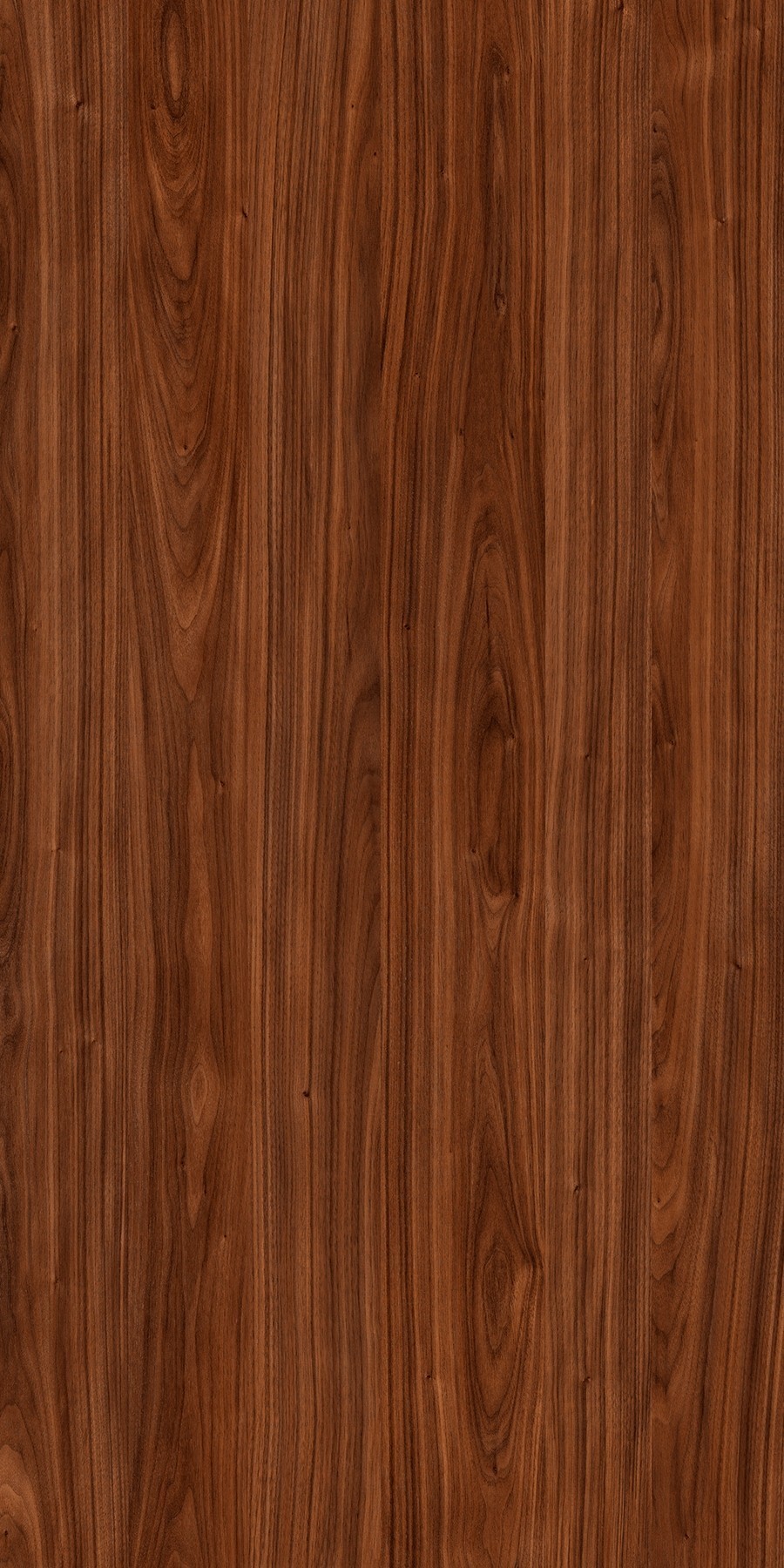 Canyon Walnut Laminate sheets with Super Gloss (SGL) Finish | Greenlam Laminates