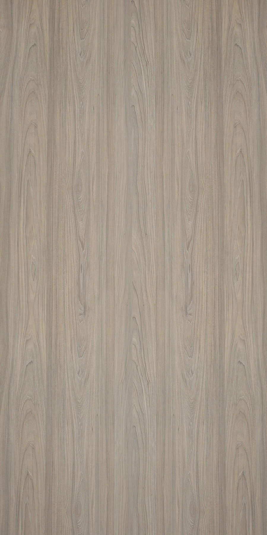 Rosenheim elm Laminate sheets with Suede (SUD) Finish | Greenlam Laminates