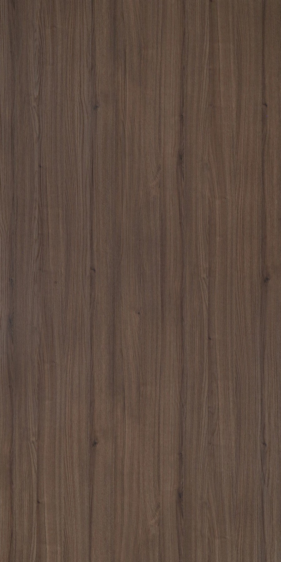 Chelsea Chestnut Brown Laminate sheets with  Finish | Greenlam Laminates