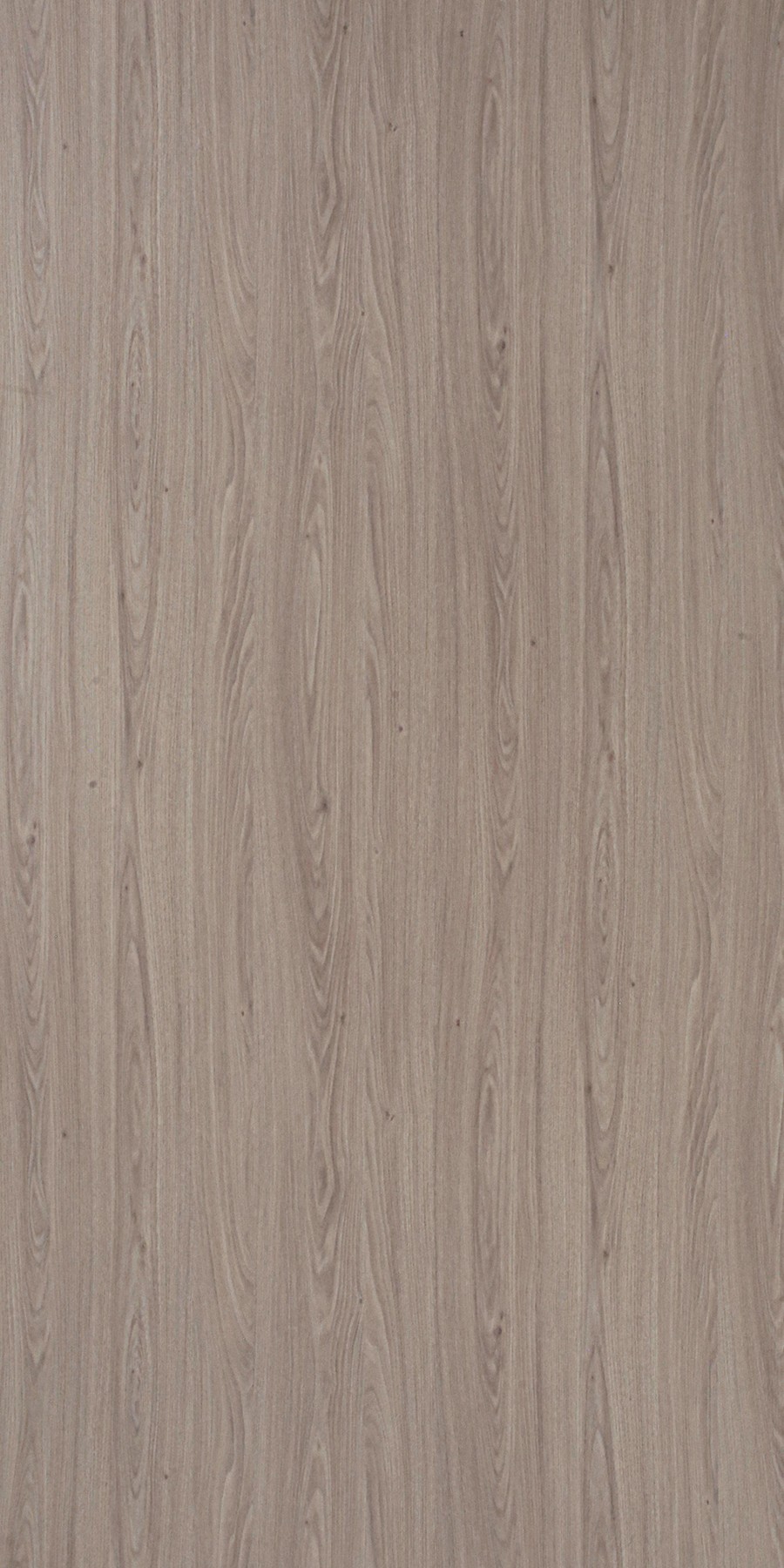 Nordic Accacia Laminate sheets with Linea (LNA) Finish | Greenlam Laminates