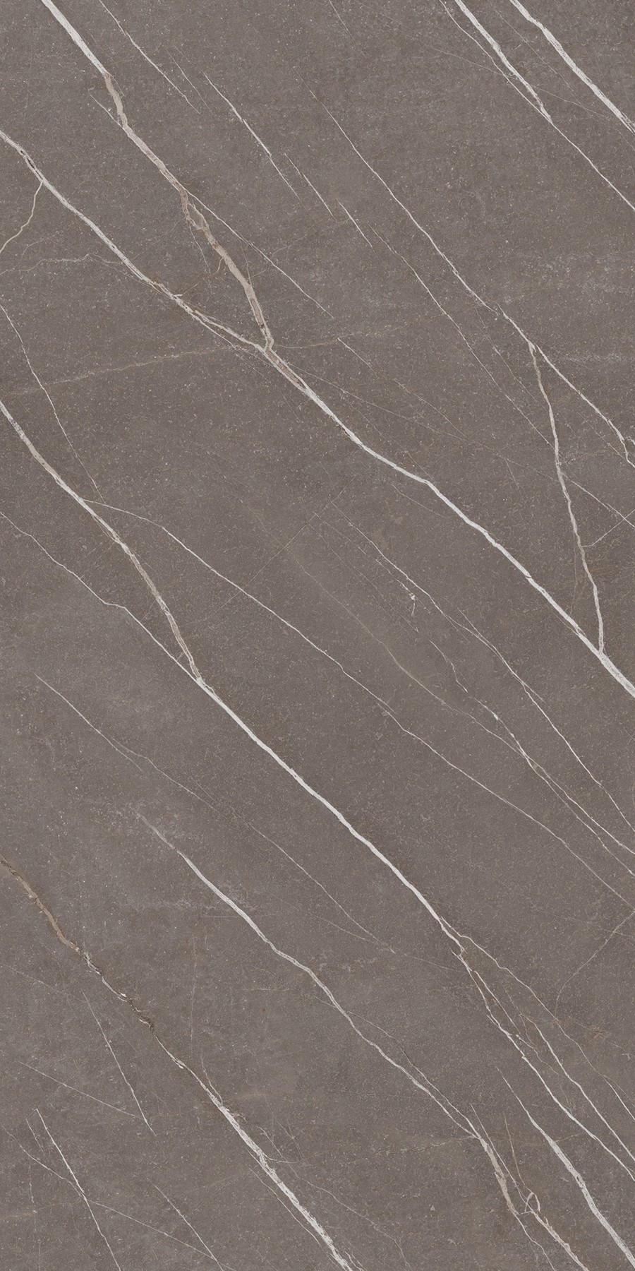 Dune Pietra Laminate sheets with Satin (SAT) Finish | Greenlam Laminates