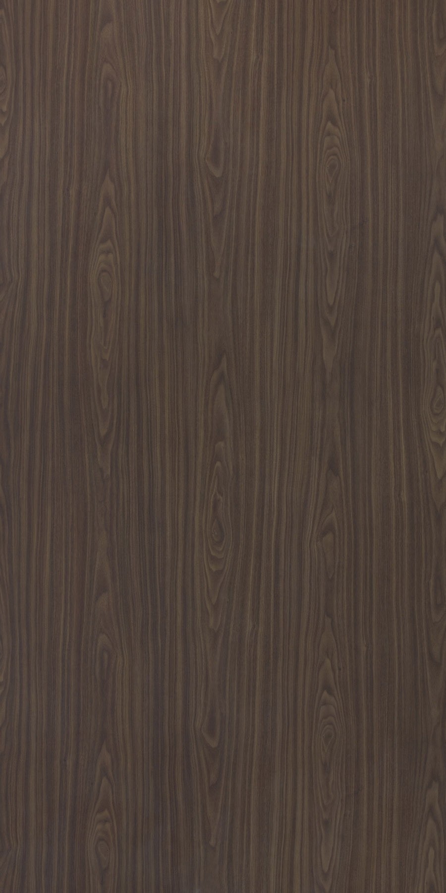 American Walnut Laminate sheets with Suede (SUD) Finish | Greenlam Laminates