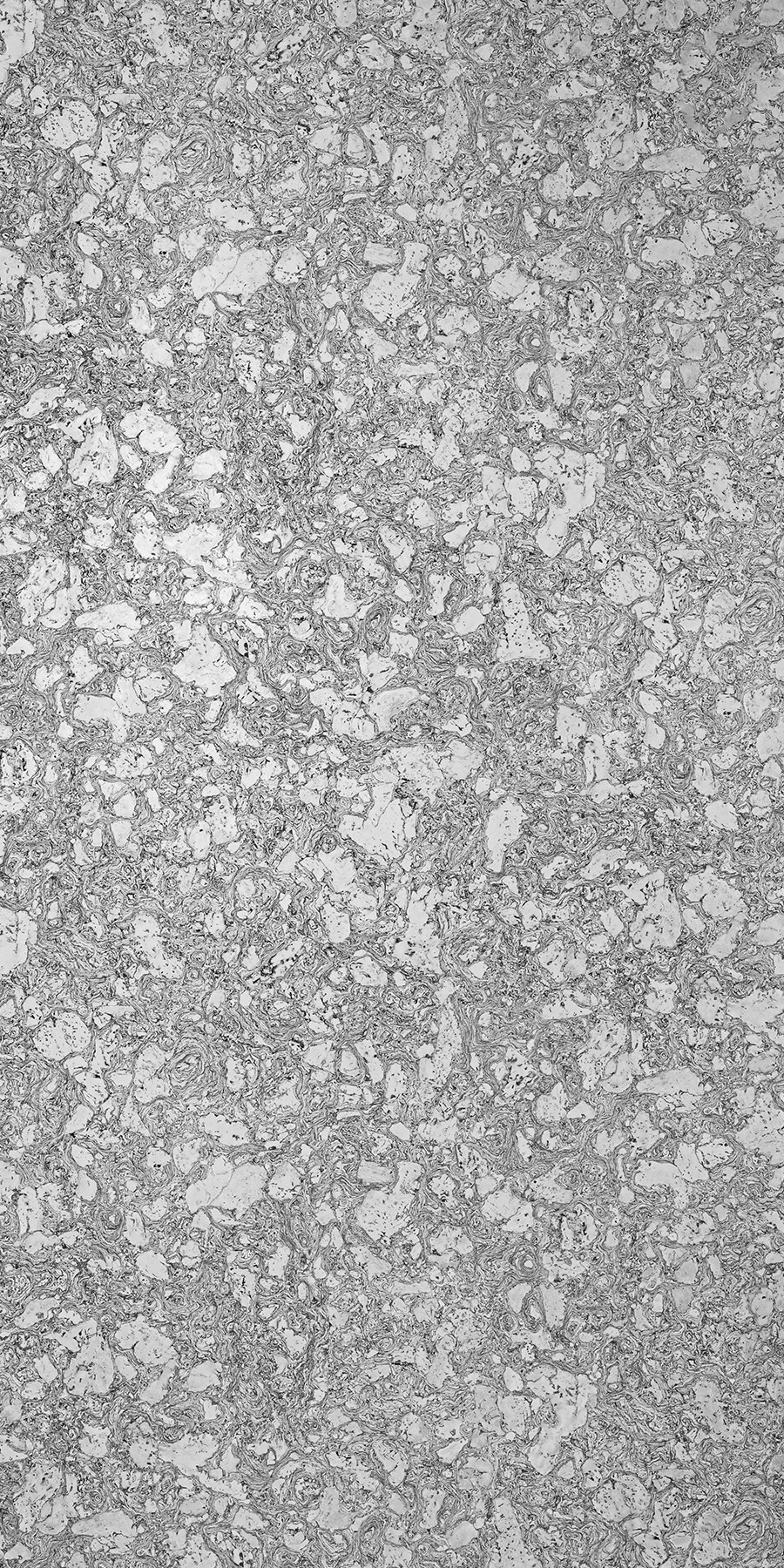 Neptuno Pearl Laminate sheets with Super Gloss (SGL) Finish | Greenlam Laminates