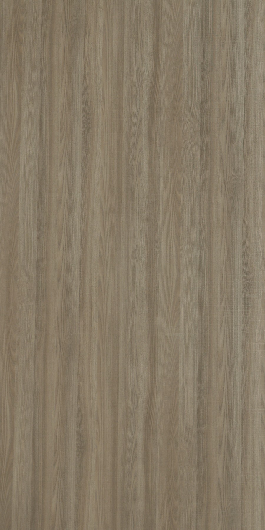 Cured Ash Laminate sheets with Suede (SUD) Finish | Greenlam Laminates